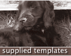 supplied templates